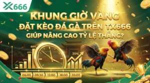 Khung giờ vàng đặt kèo đá gà trên Tx666 giúp nâng cao tỷ lệ thắng