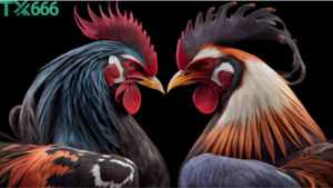 Nên Chọn Gà Cựa Dao Hay Gà Cựa Sắt Cho Người Mới Chơi tx666?