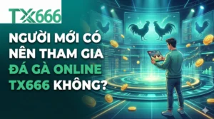 Người Mới Có Nên Tham Gia Đá Gà Online tx666 Không?