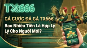 Cá Cược Đá Gà tx666 Bao Nhiêu Tiền Là Hợp Lý Cho Người Mới?
