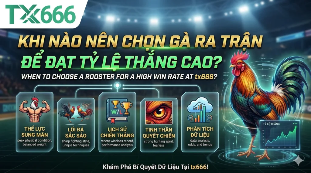 Khi Nào Nên Chọn Gà Ra Trận Để Đạt Tỷ Lệ Thắng Cao Tại tx666?
