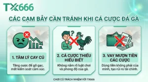 Những Điều Cần Tránh Khi Tham Gia Cá Cược Đá Gà tx666