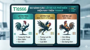 So Sánh Các Lối Đá Gà Phổ Biến Hiện Nay Trên tx666
